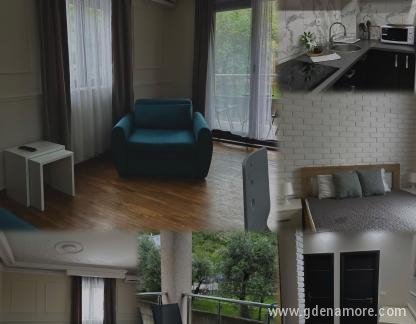 Apartman Vuković, privatni smeštaj u mestu Bečići, Crna Gora - IMG-20240509-WA0005